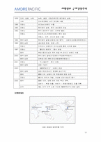 [국제경영]태평양 `라네즈` 성공중국진출 전략 분석-18