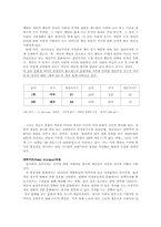 [졸업][글로벌브랜드커뮤니케이션] 미국과 영국의 광고가치비교연구- 지배적가치와 소구방식을 중심으로-11