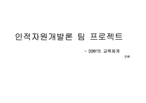 [인적자원개발] 소니SONY의 교육체계-18