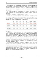 현대자동차 시장세분화를 통한 미시마케팅-10