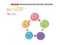 [경영정보] SNS(Social Network Service) 소셜 네트워크 서비스 시장분석, 활용 기업사례, 문제점과 나아갈 방향-10