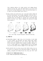 [농업경제학] 기후변화에 따른 농업의 변화와 대응방안-13