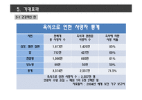 채식 습관 배우기 캠프 기획안-14