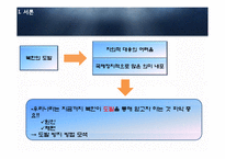 [국제정치] 천안함으로 본 남북관계와 대외적 국제관계-4