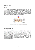 [제조프로세스혁신] 그래핀을 이용한 염료감응형 태양전지-13