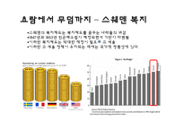 [유럽경제와문화] 북유럽(스웨덴과 핀란드)의 경제와 문화-12