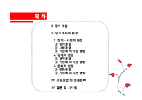 [국제기업환경론] 인도네시아에 대한 분석-2