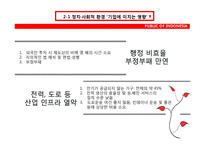 [국제기업환경론] 인도네시아에 대한 분석-9