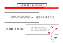 [국제기업환경론] 인도네시아에 대한 분석-17