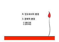 [국제기업환경론] 인도네시아에 대한 분석-18