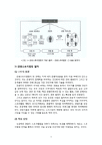 [해양관광경영학] 어촌 관광-6