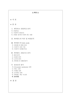 [관광산업론] 에버랜드 경영전략분석 및 산업구조 및 성공요인분석-1