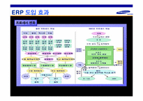 [생산관리] 삼성SDI의 ERP도입사례-13