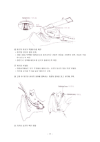 CPR심폐소생술 레포트-17