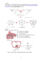 [건강과 간호] 동성리듬, EKG 리듬 PBL-2