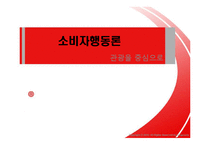 [관광론] 관광 소비자의 행동연구-1