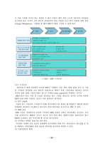 [졸업][경영정보] ERP시스템의 도입과 성과-10