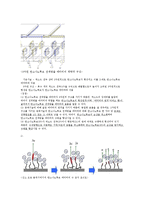 [나노소재] CNT BLU 효과개선-6