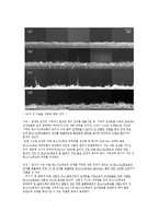 [나노소재] CNT BLU 효과개선-7