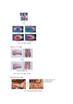 [생명의료윤리] 줄기세포 연구-14