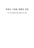 [통일경제론] 북한의 시장화 현황과 전망 -한국 대중음악이 북한 개방화에 미치는 영향-1