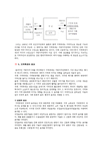 [지역축제] 지역축제의 특성과 성공요인 분석-6