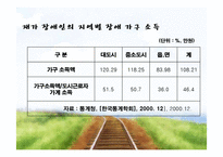 [가족복지론] 장애인 부모, 자녀 가족의 문제점과 서비스 현황-13