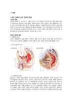 [청소년복지] 청소년의 성문제와 `아하 청소년 성문화 센터` 기관 조사 보고서-4