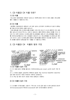 [환경생태학] C3 C4식물과 광합성-3