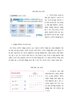 [E-비즈니스] 맞춤화 vs 개인화의 실제적 사례 연구분석-하나투어와 스투비 투어-9