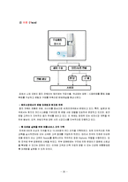 [마케팅] 웅진코웨이의 마케팅 전략 분석-청호나이스와 비교분석-20