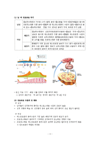 올바른 성 인식을 위한 성의 이해와 분석-3