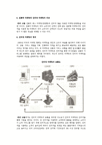 [사이버마케팅] 인터넷마케팅의 정의와 장단점, 방법, 도구 및 인터넷 마케팅 전략과 믹스-6