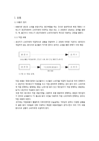 [물류관리론] 국내 의류시장의 유통경로 조사-3