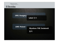 [국제경영] 일렉트로룩스 사례-12