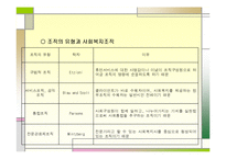 사회복지조직 이론 ppt-9