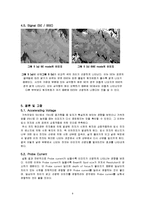 [재료공학] SEM의 실험 변수에 따른 이미지의 변화 관찰-8