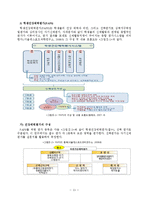 중간놀이 시간을 활용한 줄넘기 운동이  건강체력과 자기신체평가에 미치는 영향-19