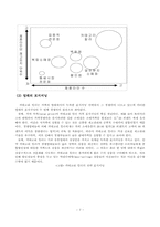 전문할인점의 국내현황과 발전전망-7