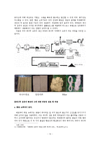 [의상학] 친환경 재생섬유의 특징과 친환경성 검토-옥수수, 대나무, 콩, 텐셀, 오가닉 코튼 섬유-12