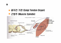 응급처치 및 안전관리-구급 & 응급처치(CPR, R&B, Choking)-13