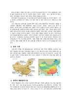 [무역실무] 해충방제업체 `세스코` 수출에 따른 stp전략 -중국시장-8