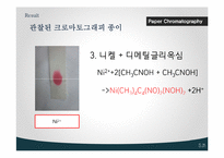 Paper Chromatography 실험-13