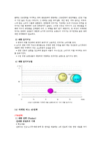 설화수 마케팅전략분석및 해외진출위한 글로벌 마케팅전략제안,나의의견-6