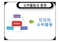 [소비자행동론] 자연환경변화와 소비자행동-8