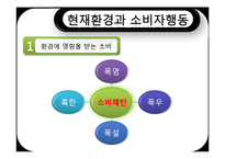 [소비자행동론] 자연환경변화와 소비자행동-14