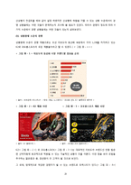 노스페이스 northface 마케팅 전략기획서-20