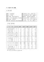 [국제경영] 이집트 IT시장환경 및 전망-2