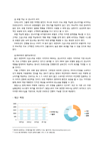 필립스 마케팅사례분석및 새로운 마케팅전략제안-10