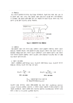 [식품공학] sucrose용액 침지시간에 따른 당근의 열풍건조특성-4